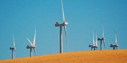 Enhanced guidance with IUCN on mitigating biodiversity impacts in solar and wind energy development