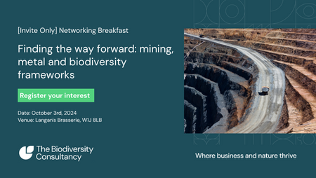 Finding the way forward: mining, metal and biodiversity frameworks