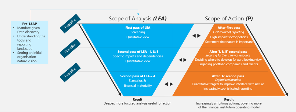 A ‘double funnel’ figure displaying how the scope of analysis narrows during successive passes of LEA, while the scope of action widens. The first pass involves screening, provides a qualitative view and allows for a first round of reporting, high-impact sector policies and a statement that nature is important. The L & E parts of the second pass explore specific impacts and dependencies, with a quantitative view and allows for securing further internal resource, deciding where to develop forward a looking view and engaging portfolio companies and clients. The E part of the second pass develops scenarios and links to financial materiality, and allows for capital reallocation, target-setting and increasingly sophisticated reporting.