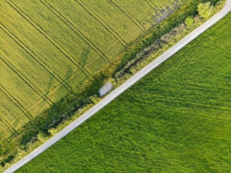 Where is the value of nature? A practical guide for business decision-making