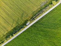 Where is the value of nature? A practical guide for business decision-making