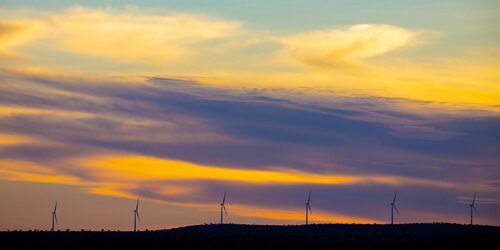 Assessing biodiversity risks and impacts for IFC PS6 alignment with Kipeto Energy PLC