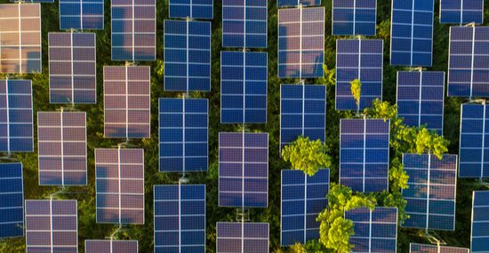 Solar energy: managing biodiversity risks