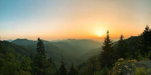 Supporting TotalEnergies to manage global nature-related risks and long-term opportunities