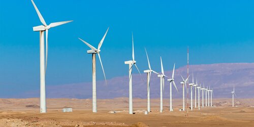Demonstrating No Net Loss or Net Gain for a wind project in a migratory corridor