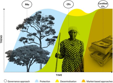 Certified community forests positively impact human wellbeing