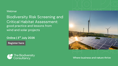 Biodiversity Risk Screening and Critical Habitat Assessment: good practice and lessons from wind and solar projects