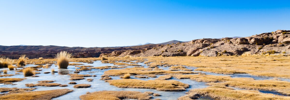 Landscape of the Bofedales wetlands in Bolivia