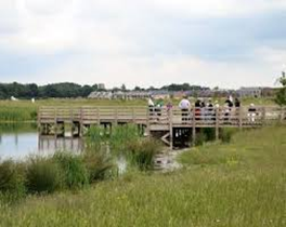 Group of people standing on a wooden walkway over wetlands in the UK