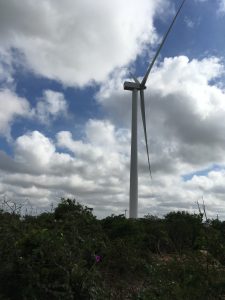 A single wind turbine set in a bushy landscape