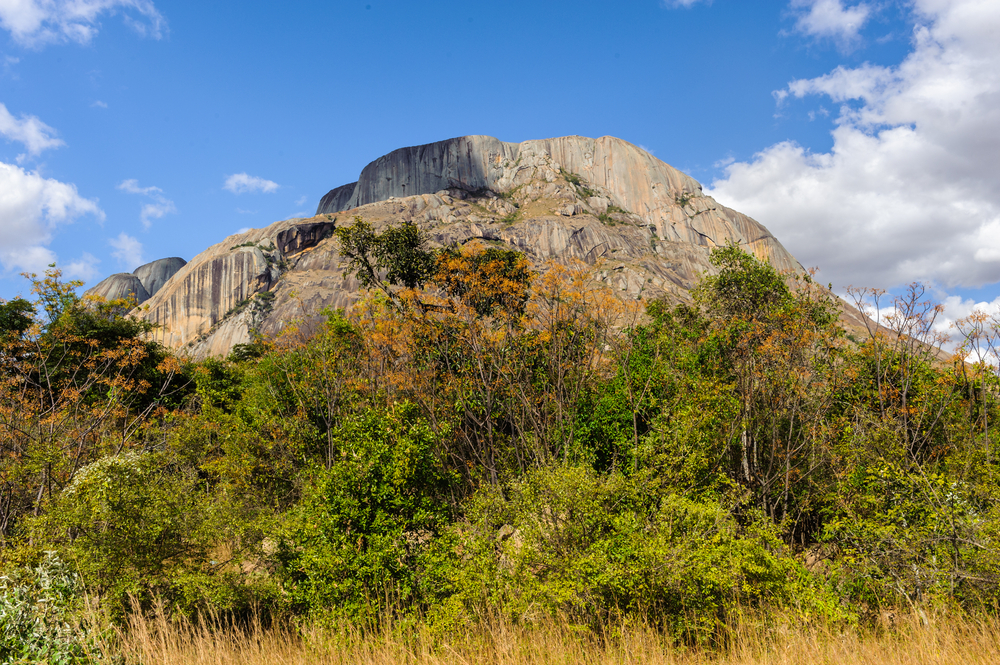 Rocky outcrop surrounded by trees