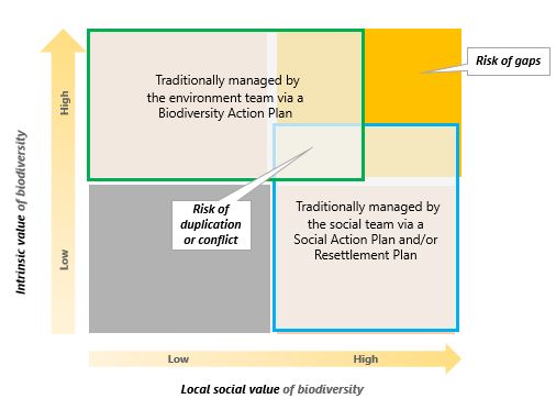 Figure comparing the intrinsic and social value of biodiversity