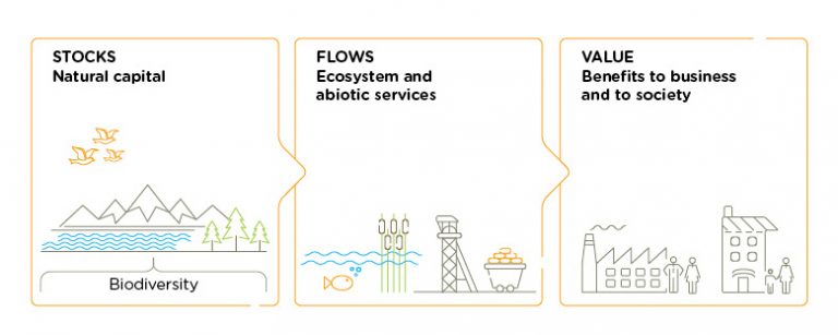 Diagram showing the stocks, flows and value of natural capital