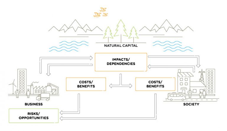 Figure showing the cost and benefits, and risks and opportunities of natural capital