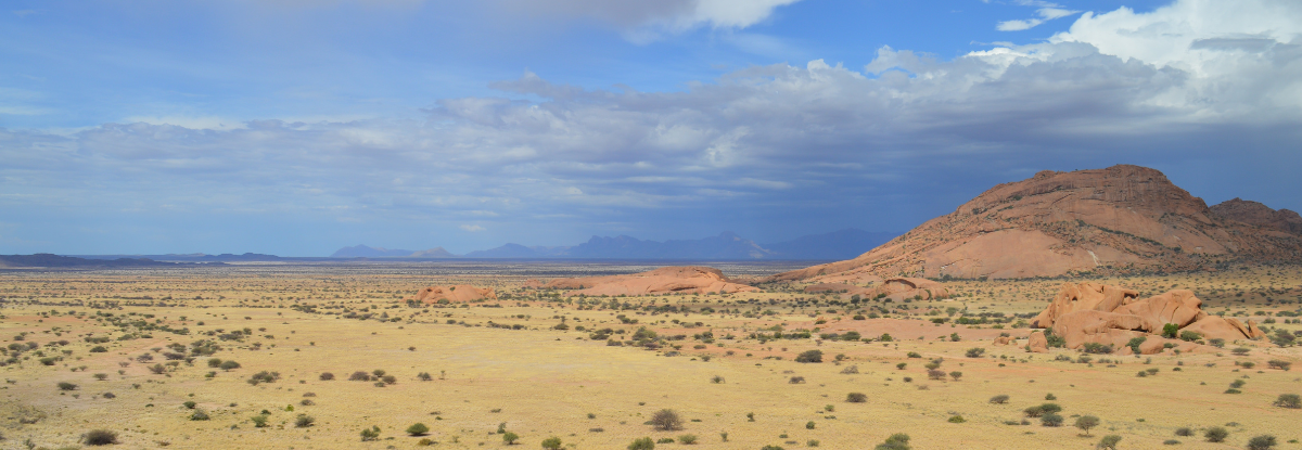 Africa steppe