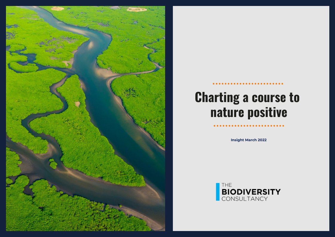Front cover of Charting a course to nature positive insight publication